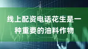 线上配资电话花生是一种重要的油料作物